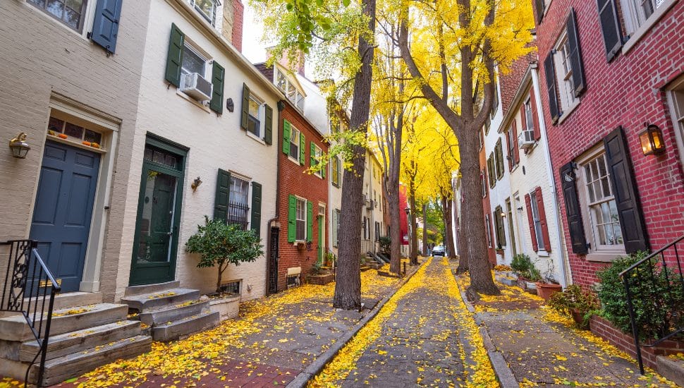 Philadelphia townhomes in alley with yellow leaves.
