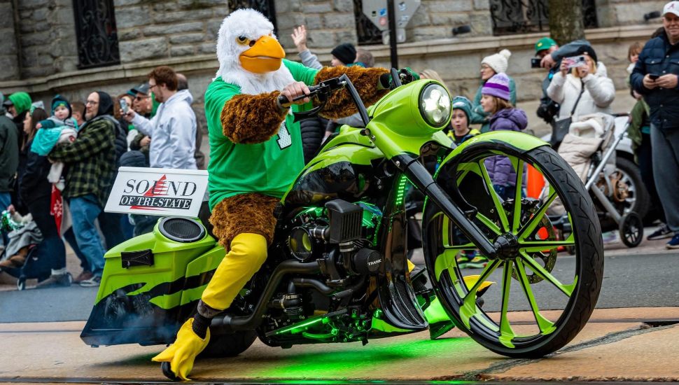 This rider donned a Philadelphia Eagles costume in Media Borough's Sunday Eagle Pep Rally parade.