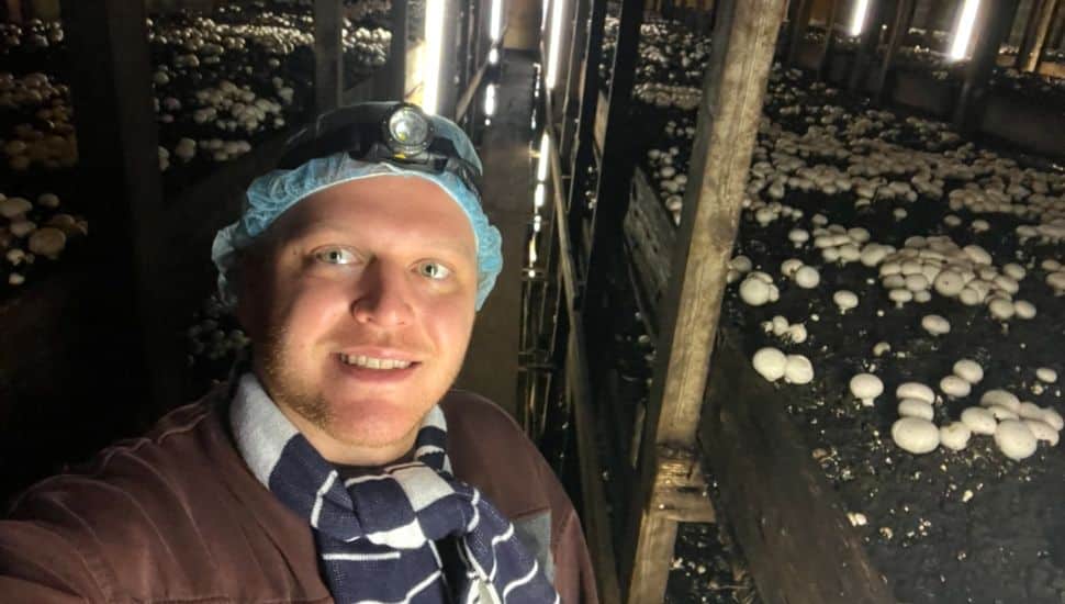 Luke Reynolds in a mushroom farm.