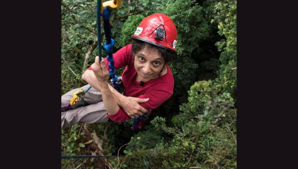 An image of Dr. Nadkarni hovered above a canopy of trees on a zipline.