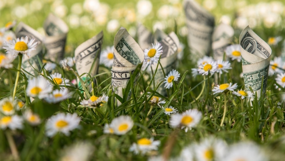 What’s Blooming? How to Nurture the Right Habits for Long-Term Success