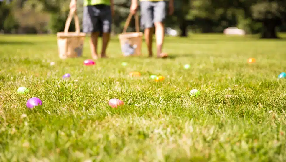 Glenside Mom’s Egg Hunt Fundraiser Cracks $1,700 for Cystic Fibrosis Research