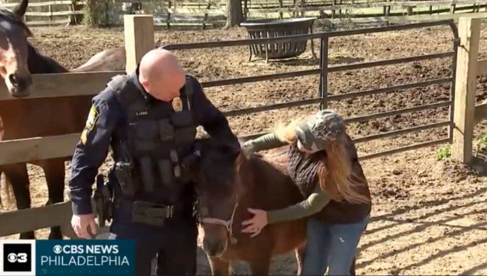 Chester County Sergeant Rescues Lost Horse, Adds Her to the Family Farm