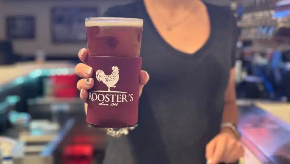 Rooster’s Glenside Blends Sports Bar, English Pub, and Cocktail Lounge Vibes