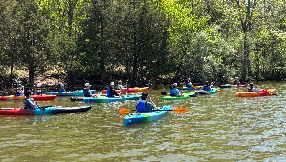 Ursinus College students in kayaks on the water as a part of Aqua's partnership with the Perkiomen Watershed Conservancy. It is a sunny day and there are several kayaks in the water at a distance.