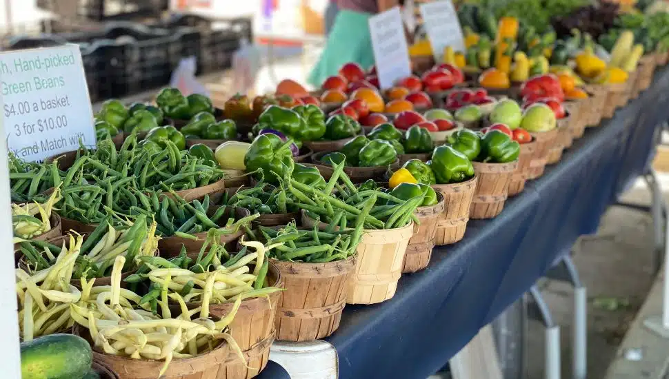 A farmer's market table with fresh vegetables.