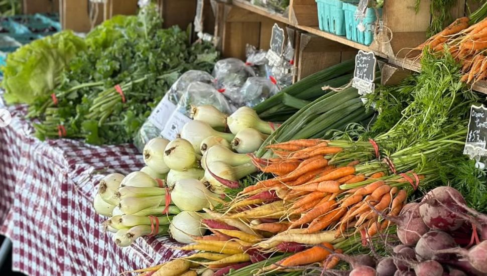A table of produce, cultivated by Limerick Homegrown.