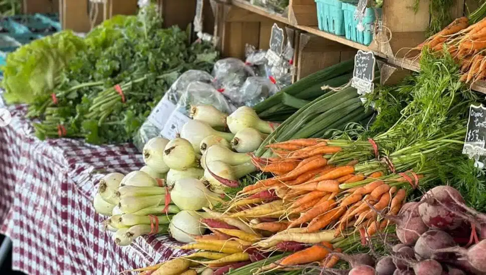 A table of produce, cultivated by Limerick Homegrown.