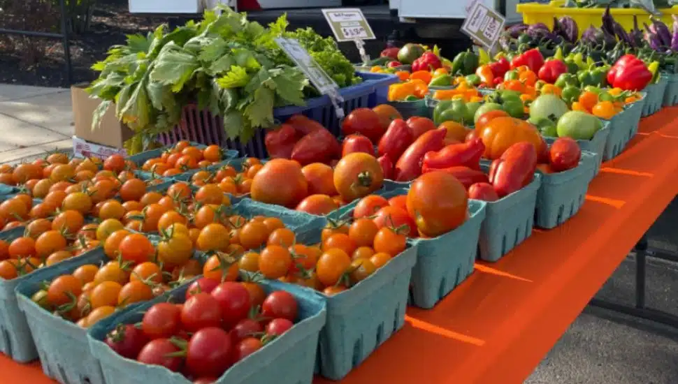A table of produce, provided by The Best Route.