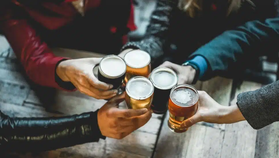 Young group of people having fun cheering with beer.