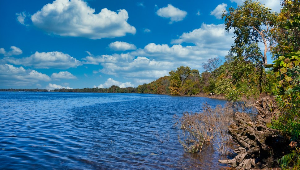 A view across the Delaware from the Abbott Marshlands, near Trenton, New Jersey, that includes freshwater tidal and non-tidal marshes, swamps, ponds, and woodlands.