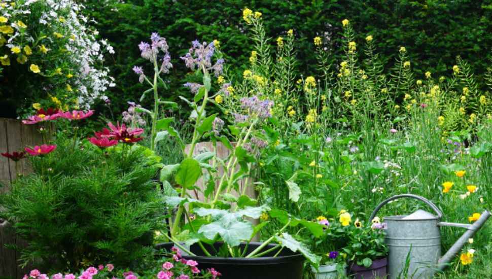 A watering can in a flower garden.