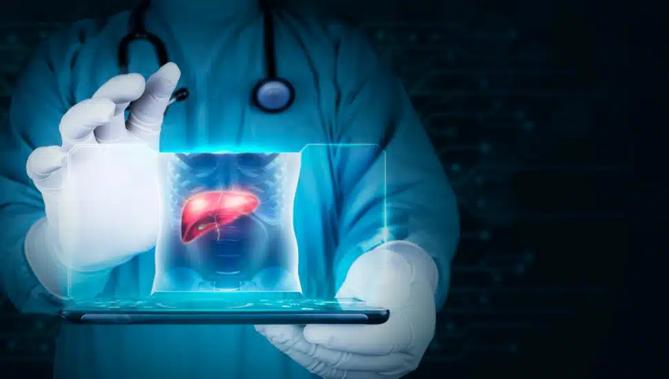 Doctor projects the human liver on his tablet, analyzes and studies the treatment of health problems.