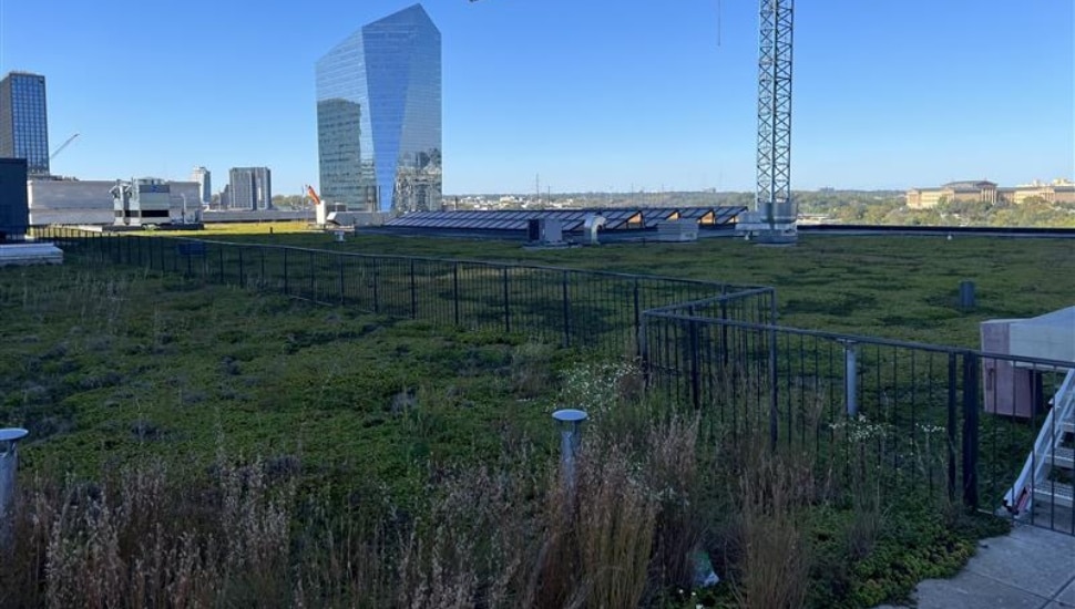 View of vegetation atop green roof of skyscraper.