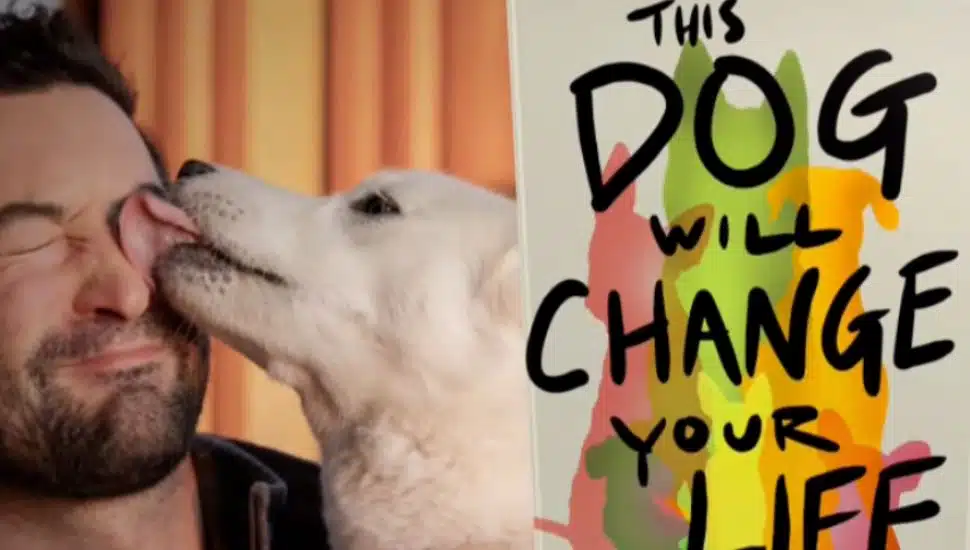 A dog licks Elias Weiss Friedman next to his book, 'This Dog Will Change Your Life,'