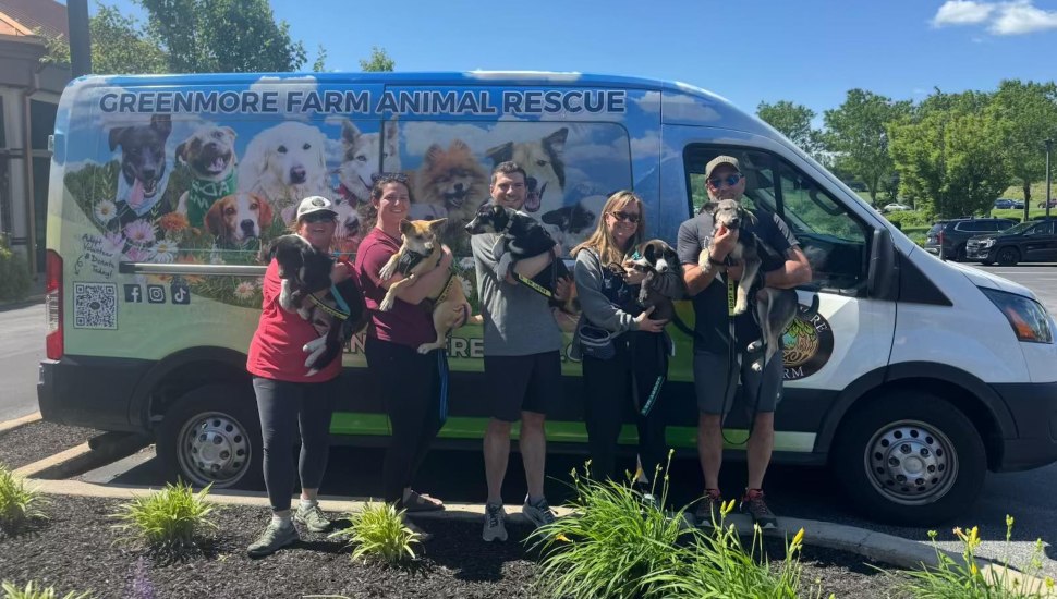 Greenmore Farm Animal Rescue truck with volunteers holding dogs in their arms.
