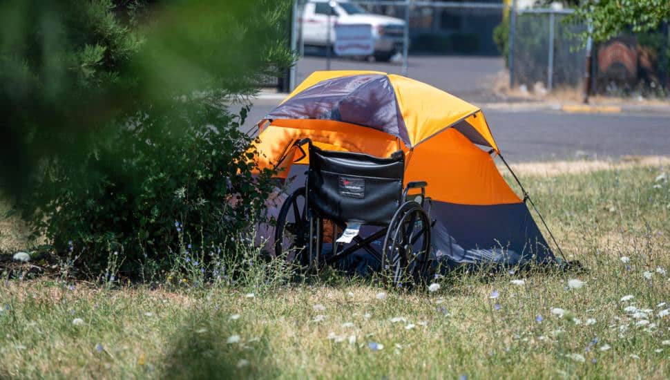 A homeless person has their tent set up on a grassy area.