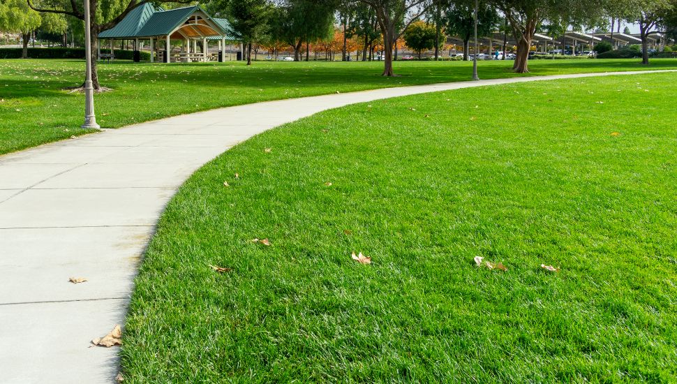 King of Prussia District unveils plans for Recharge Park, a 1.8-acre green space designed to bring beauty and connection to the corridor.