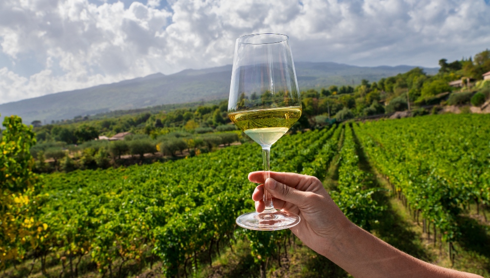 A glass of wine surrounded by a vineyard.