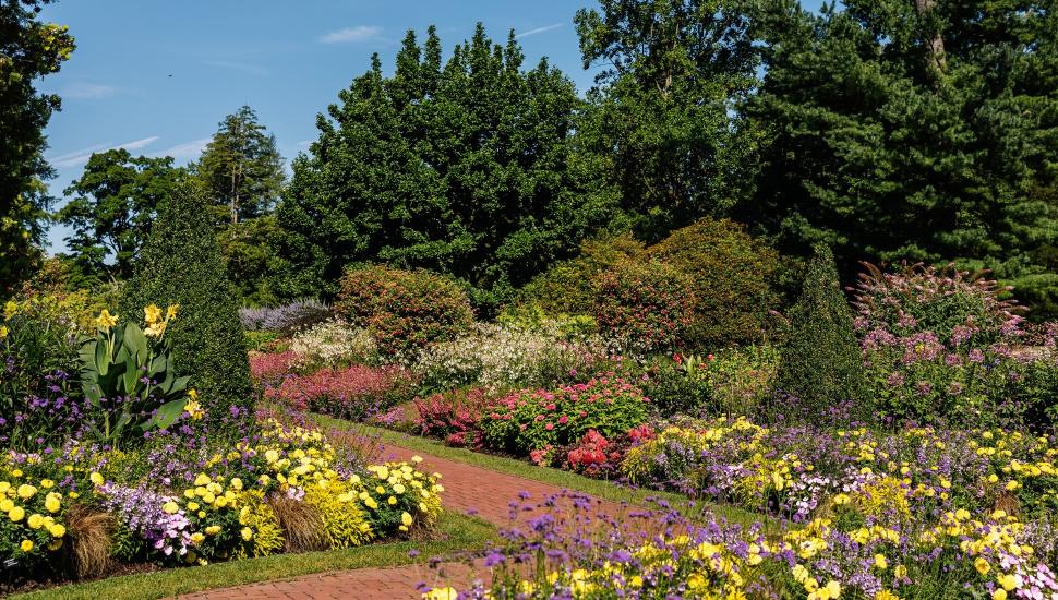 Colorful flowers along walkway at Longwood Gardens.