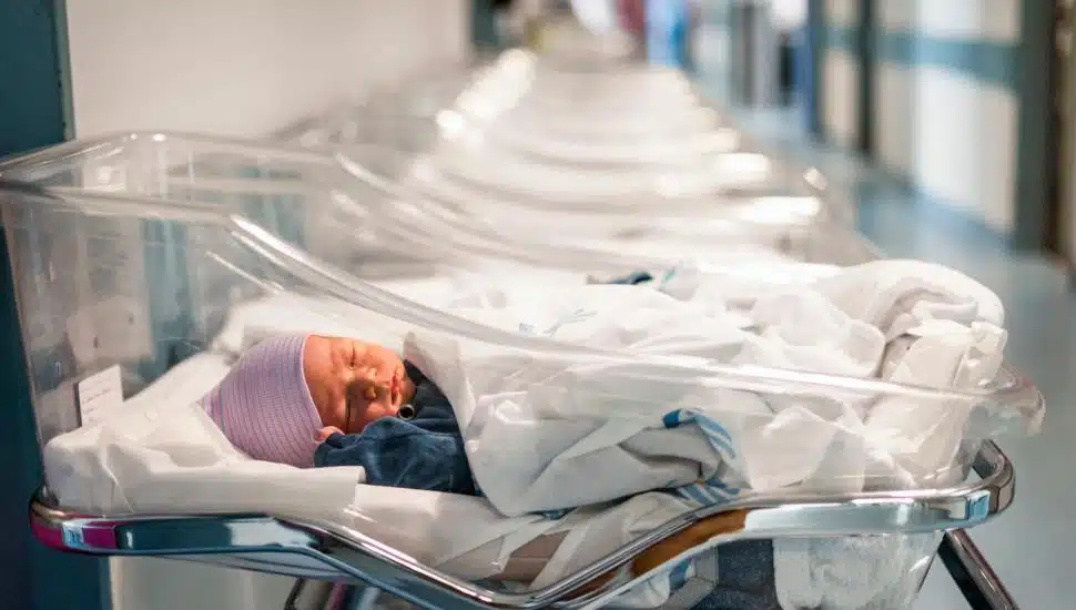 Newborn baby boy in his small transparent portable hospital bed