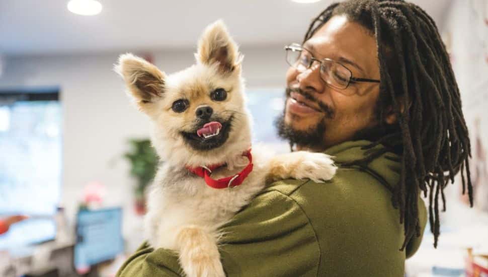 A visitor holding a rescue pet at the Brandywine Valley SPCA.