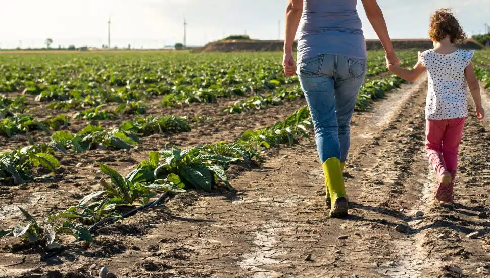 Woman farmer and little girl walking on the agriculture land.