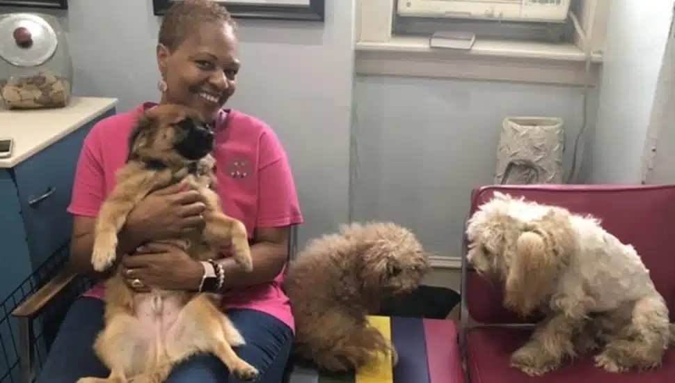 A woman smiles while holding a dog, two other other dogs to her left.