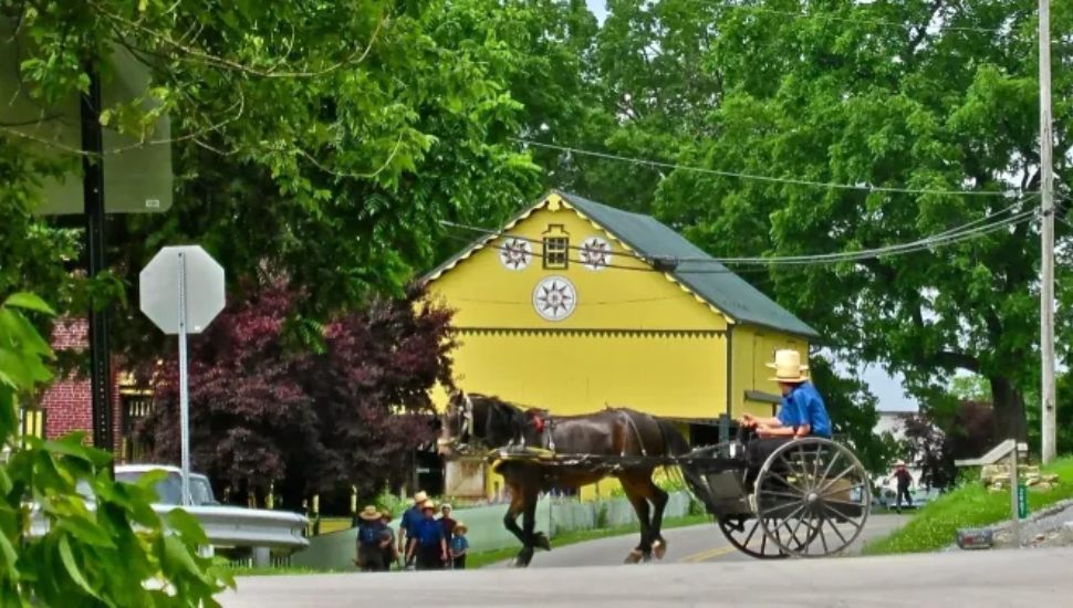 Horse-drawn buggy in front of the yellow barn at Mascot Roller Mills & Ressler Family Home in Lancaster County.