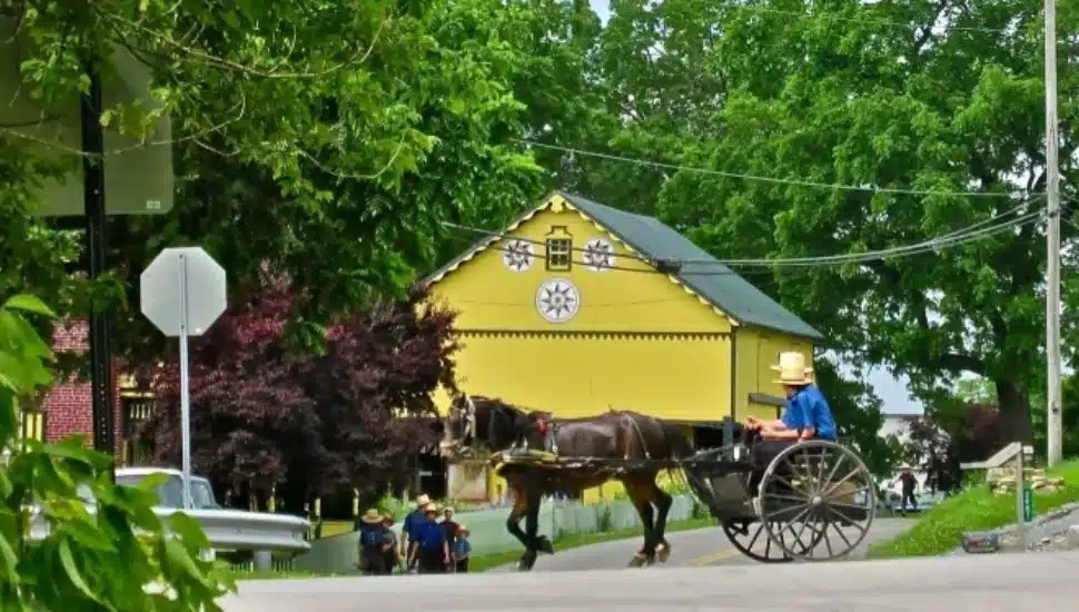 Horse-drawn buggy in front of the yellow barn at Mascot Roller Mills & Ressler Family Home in Lancaster County.