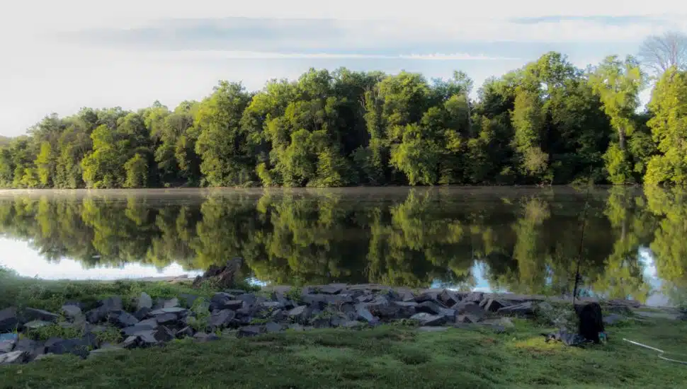 A landscape of the Schuylkill River from the Schuylkill River East trail in Montgomery County.