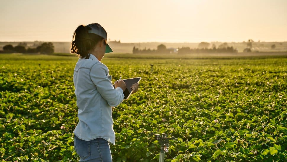 Woman farming in field.