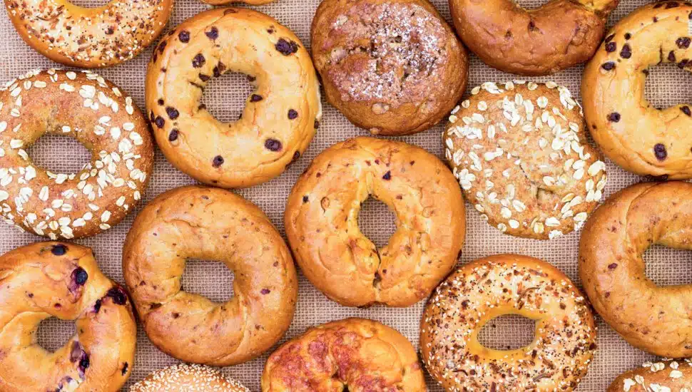 Assorted variety of different flavored freshly baked bagels.