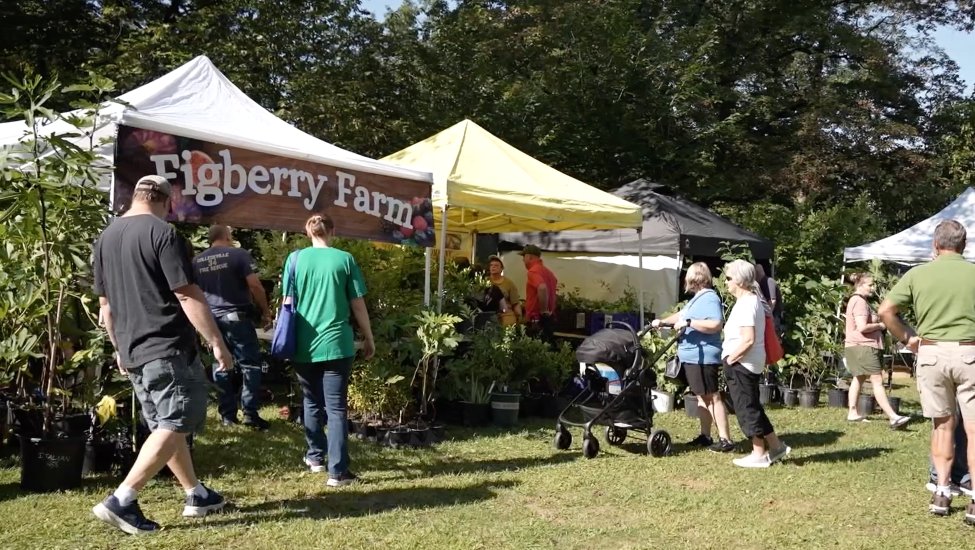 Enthusiasts gather at the Pennsylvania Fig Festival.