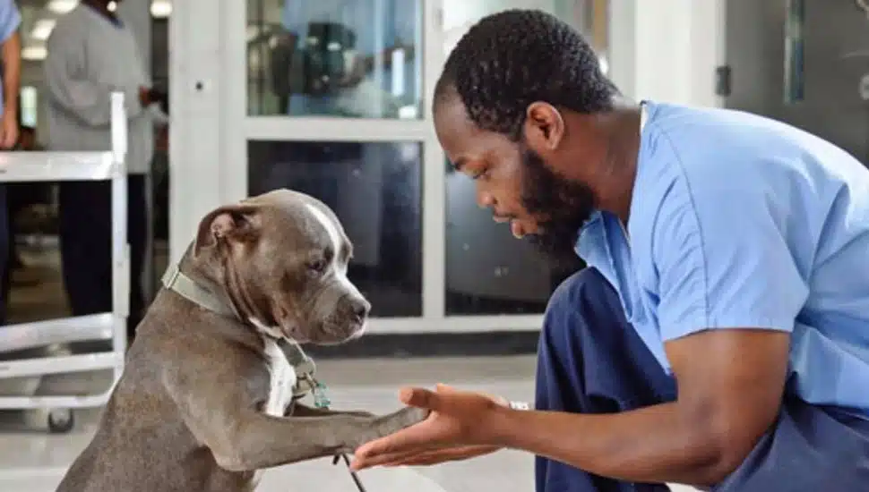 An inmate holds a dogs paw in his hands.