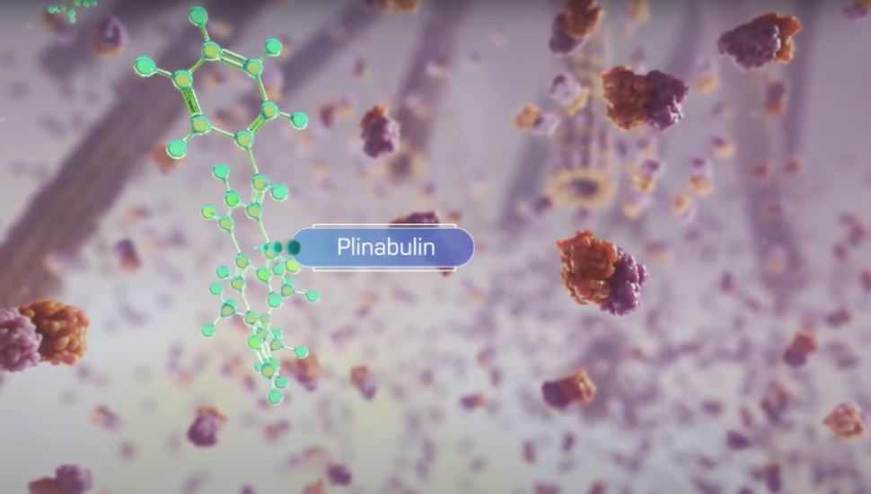 A digital rendering of Plinabulin, the active agent in SEED Therapeutics treatment.