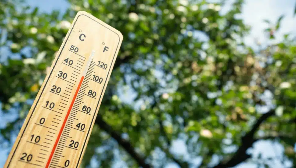 Wooden thermometer with red measuring liquid showing high temperature.