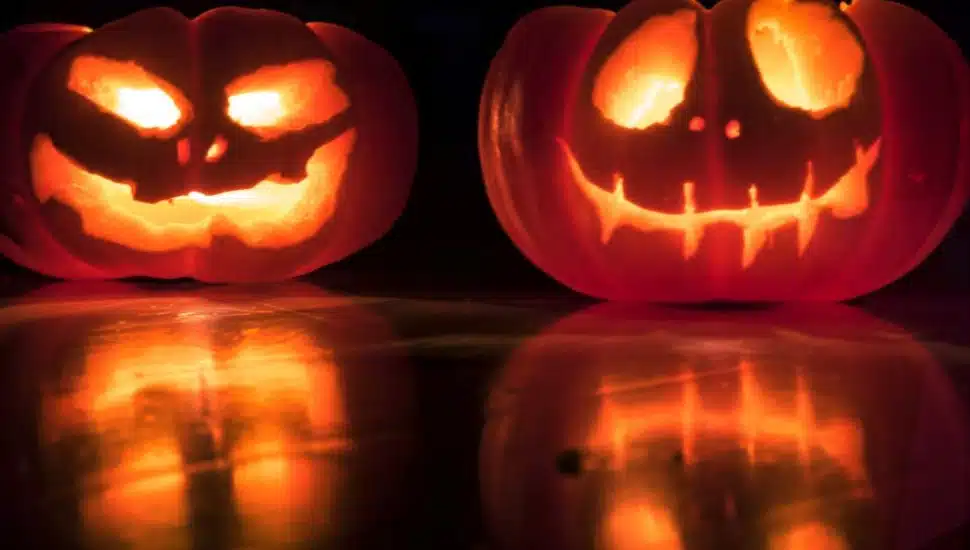 close up of lit jack-o-lanterns.