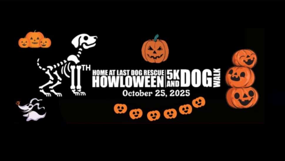 Halloween-themed graphic promoting 5K and fall festival.