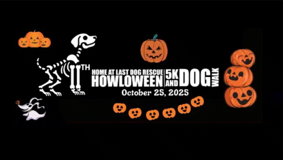 Halloween-themed graphic promoting 5K and fall festival.