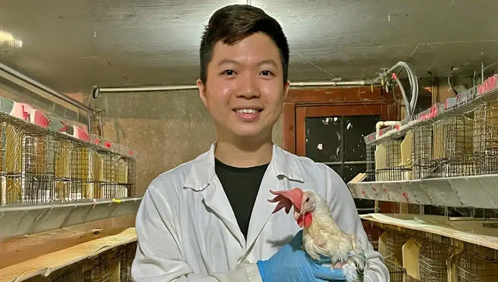 Animal science professor holds a hen.