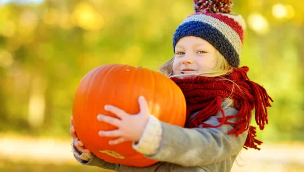 Adorable little girl having fun on a pumpkin patch on a beautiful autumn day outdoors.