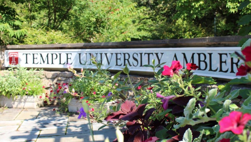 Temple University Ambler campus sign.