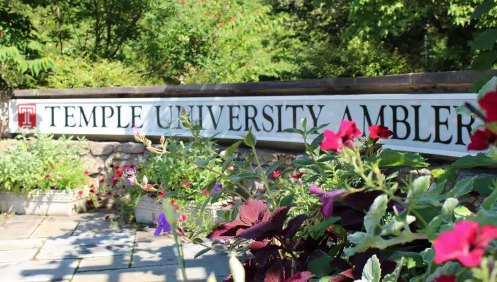 Temple University Ambler campus sign.