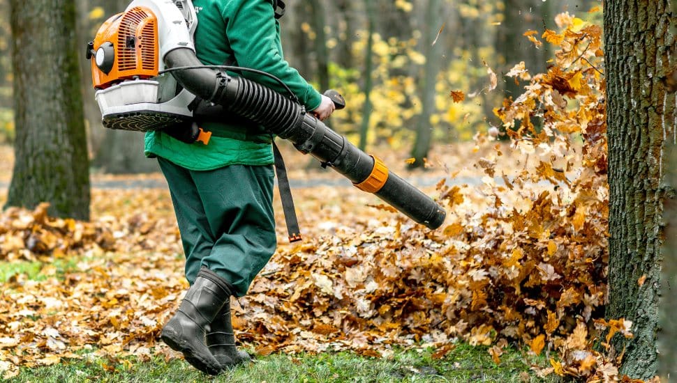 Municipal workers clean fallen leaves in a city park using lawn equipment.