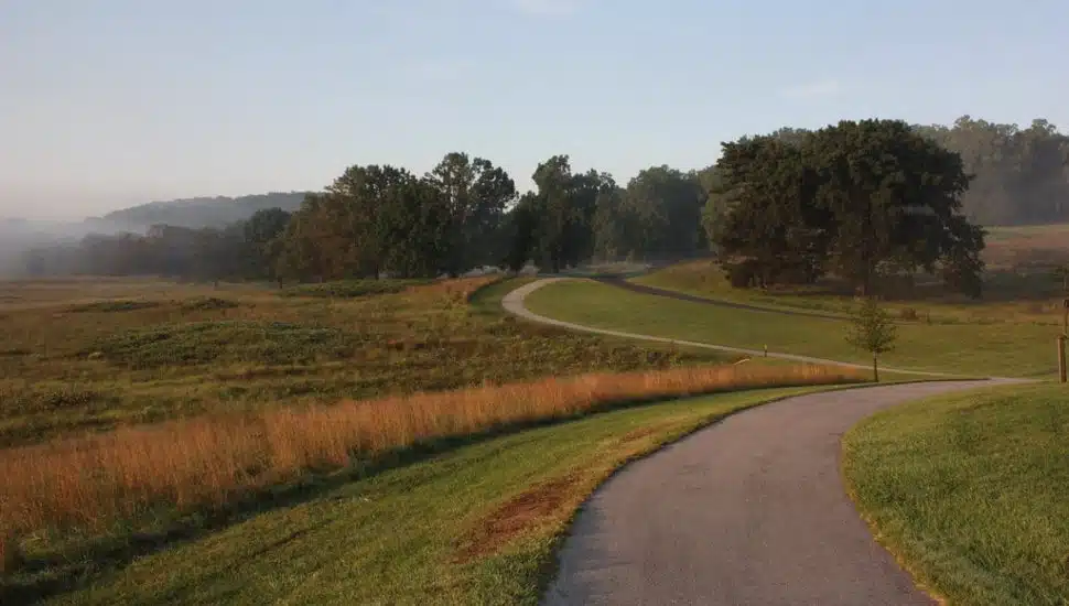 A gently curving paved trail runs through a wide grassy meadow with tall grass, scattered trees, and soft morning fog creating a calm, natural landscape.