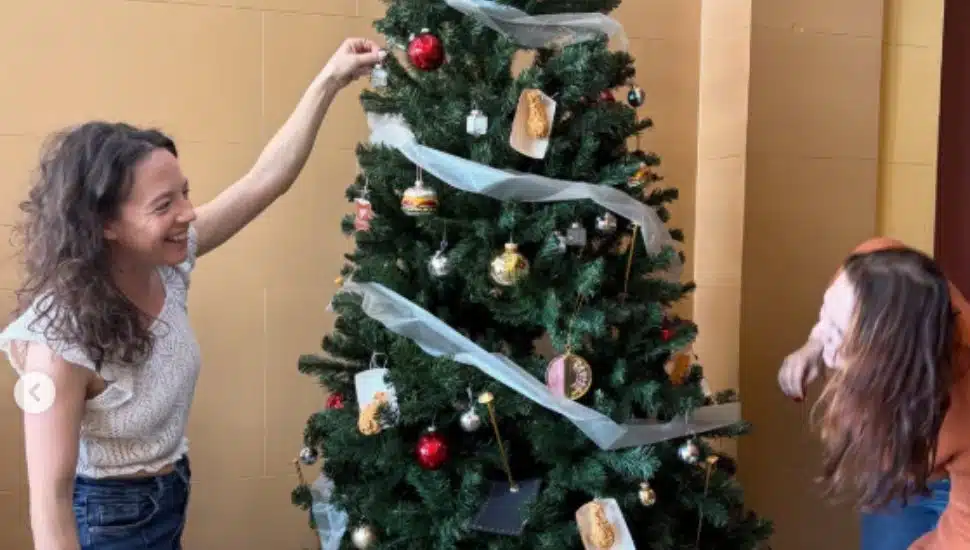 Two volunteers decorate a tree for the Ambler Festival of Trees.