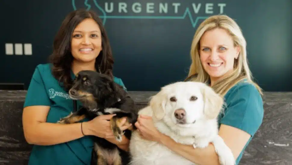 Main Line Urgent Vet is Filling a Critical Gap for Local Pet Owners
