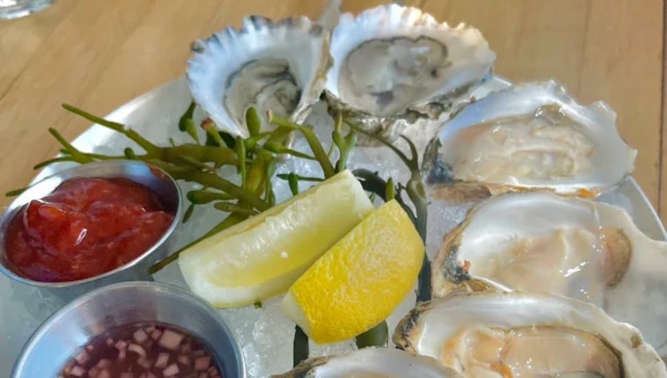 A plate of oysters is served at Gulph Mills' Savona.