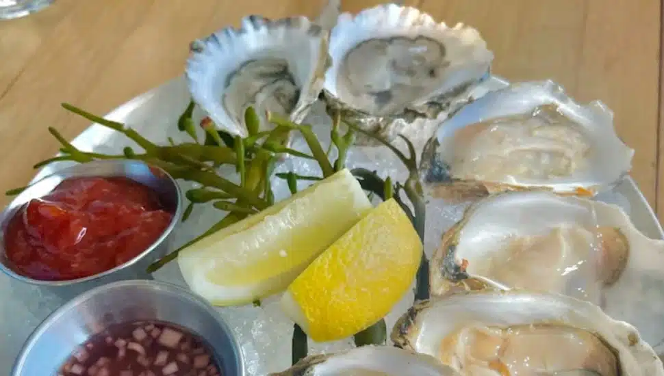 These Gulph Mills Oysters Are Worth the Drive